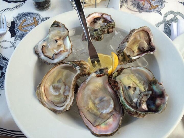 Long walk to … the&nbsp;ocean