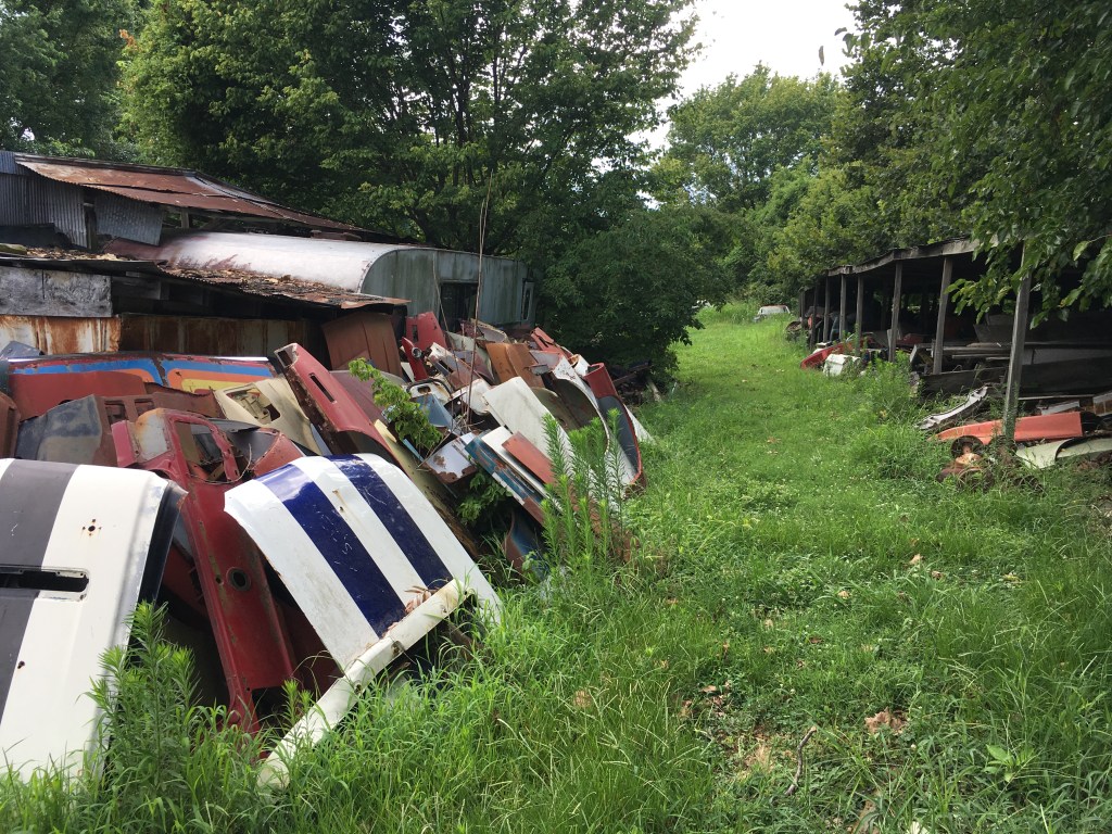 Mais, Mustangs en&nbsp;muggen