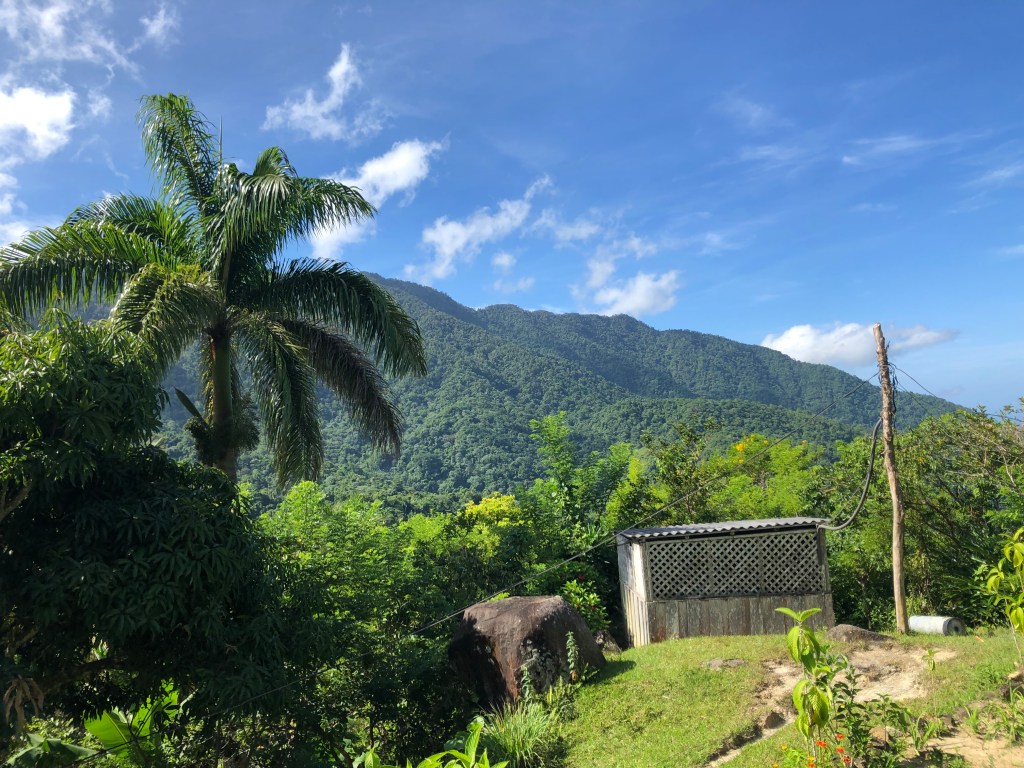 La Commandancia de la&nbsp;Plata